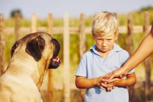 Child Was Bit by a Dog
