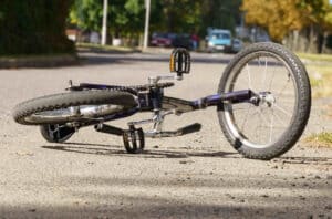 Dog Caused My Bicycle Accident
